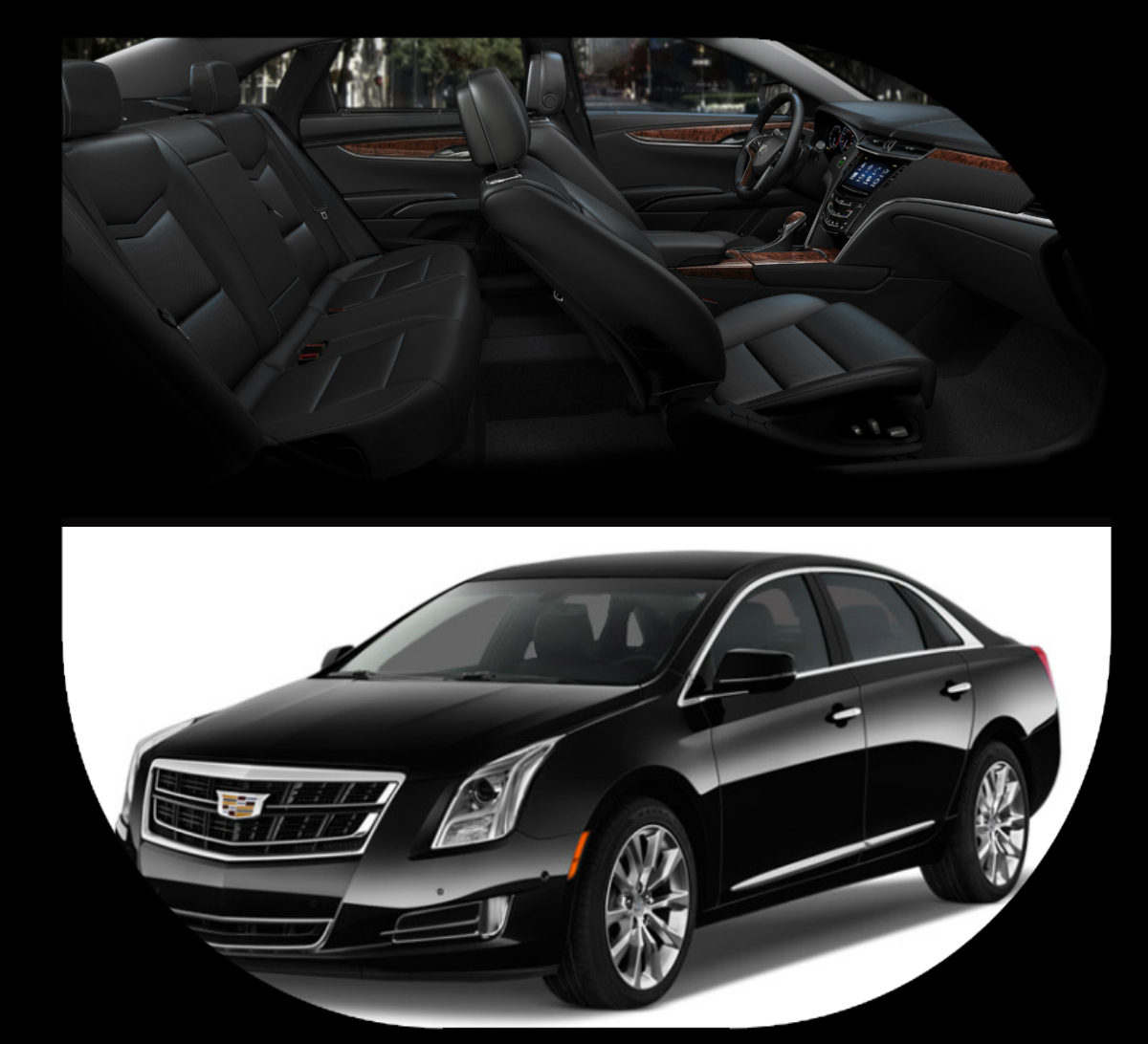Bird Limousine Cadillac XTS Fleet